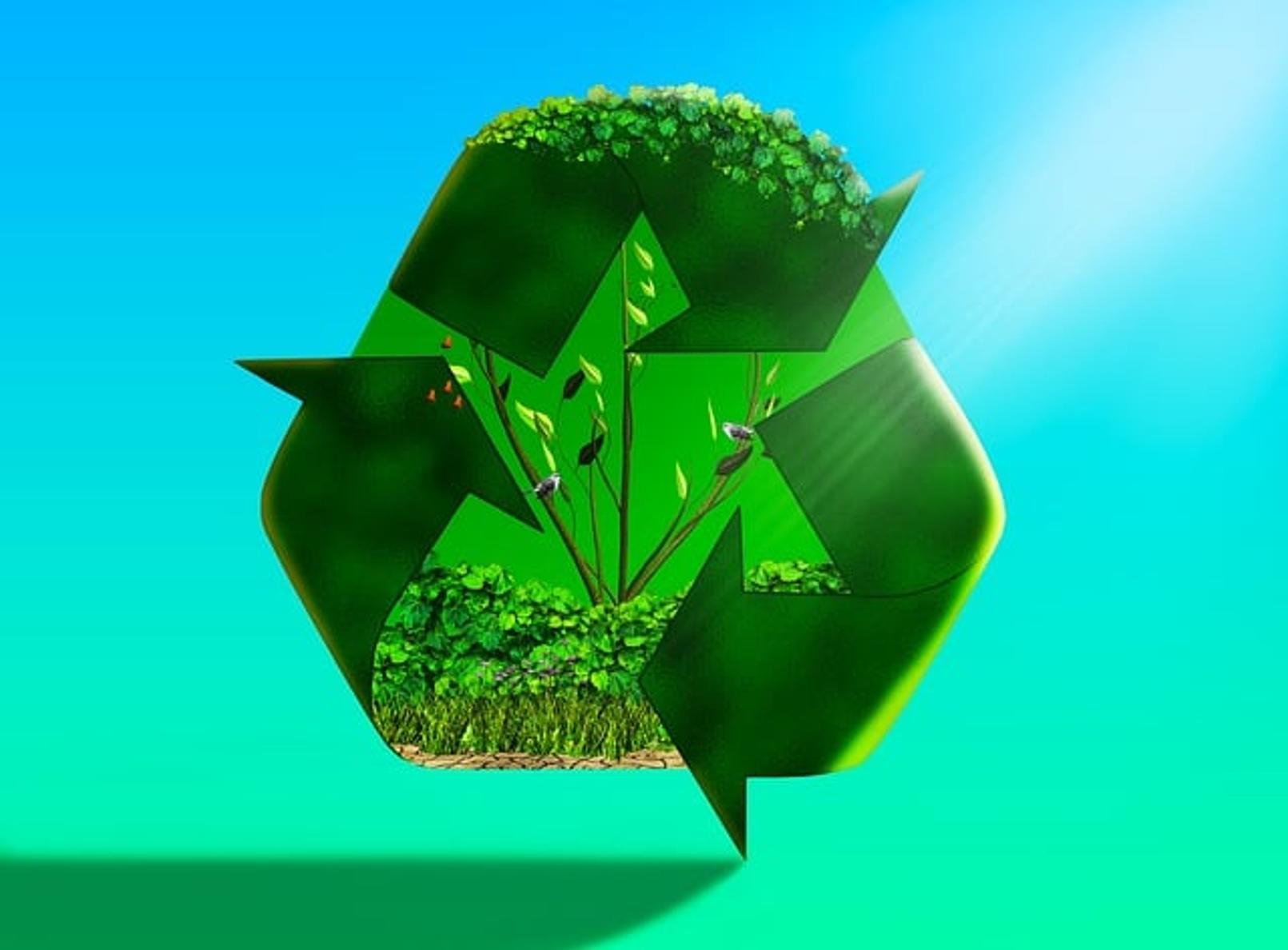 wie Computer recycelt werden